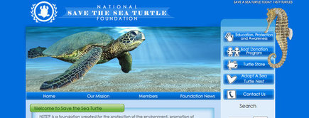 Web developer portfolio: Save the sea turtle