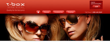 Web developer portfolio: T-Box Sunglasses